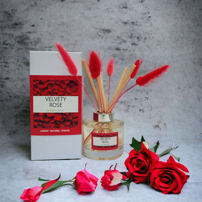 UOrganic Luxury Bunny Tail Reed Diffuser - Velvety Rose Fragrance 165ml