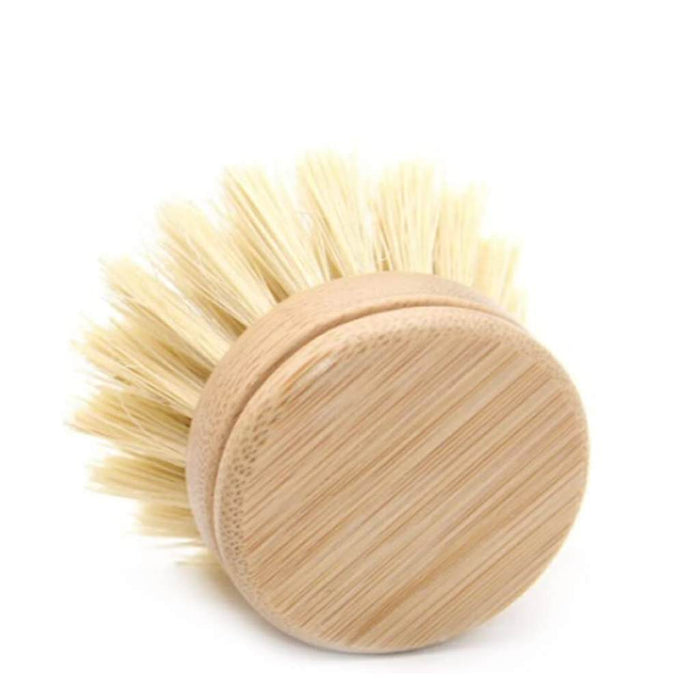 Jungle Culture Replacement Heads for Long Handle Dish Brush Soft
