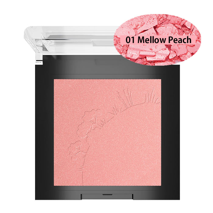Sante Mineral Blush 01 Mellow Peach 5g