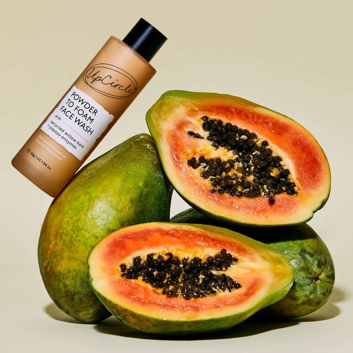 UpCircle Powder to Foam Face Wash with Willow Bark + Papaya Enzymes 55g