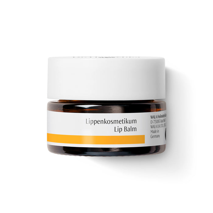 Dr Hauschka Lip Balm 4.5ml