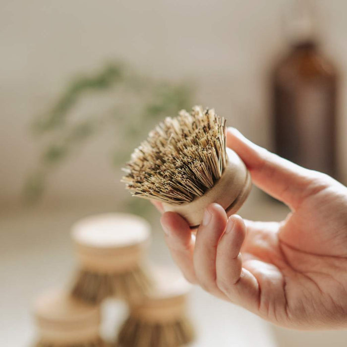 Jungle Culture Replacement Heads for Long Handle Dish Brush Firm