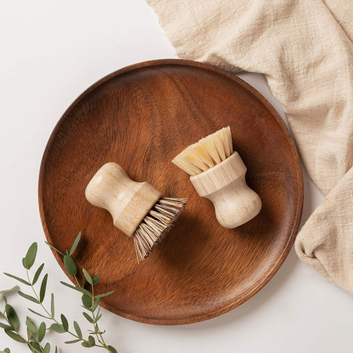 Jungle Culture Pots & Pans Scrubbing Brushes (Set of 2)