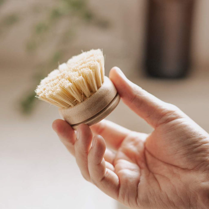 Jungle Culture Replacement Heads for Long Handle Dish Brush Soft