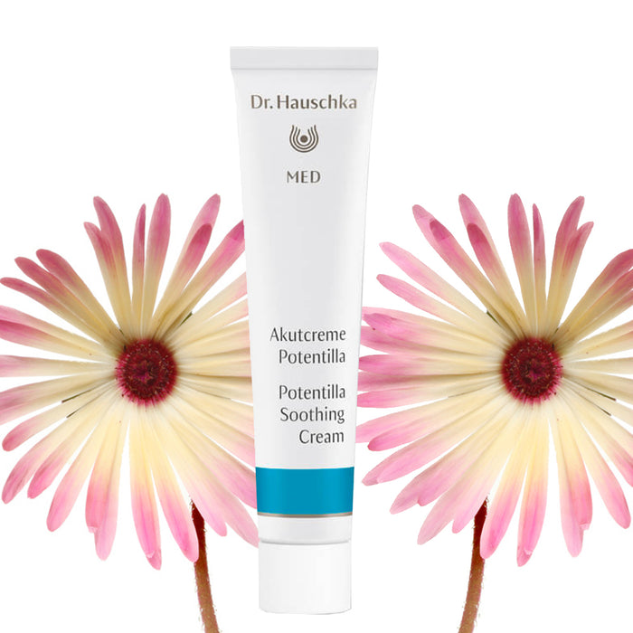 Dr Hauschka Potentilla Soothing Cream 20ml (perfect for dermatitis)