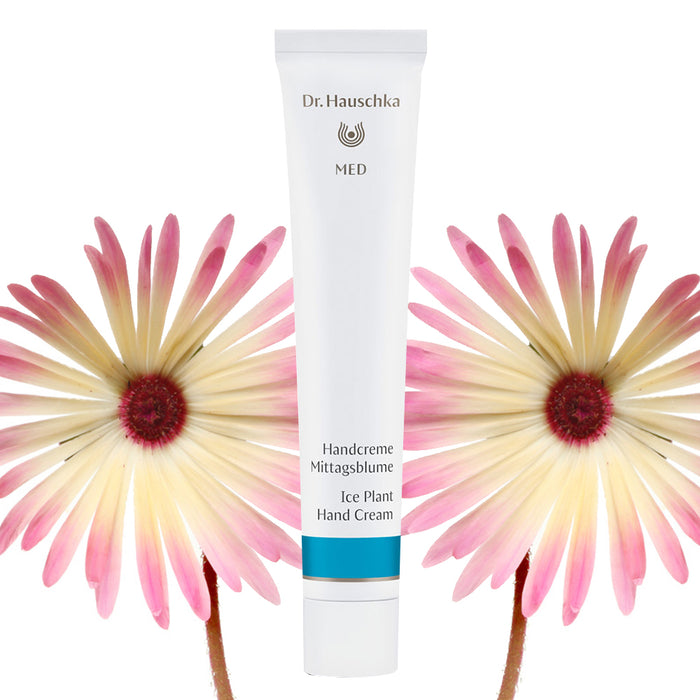 Dr Hauschka Ice Plant Hand Cream 50ml (perfect for dermatitis)