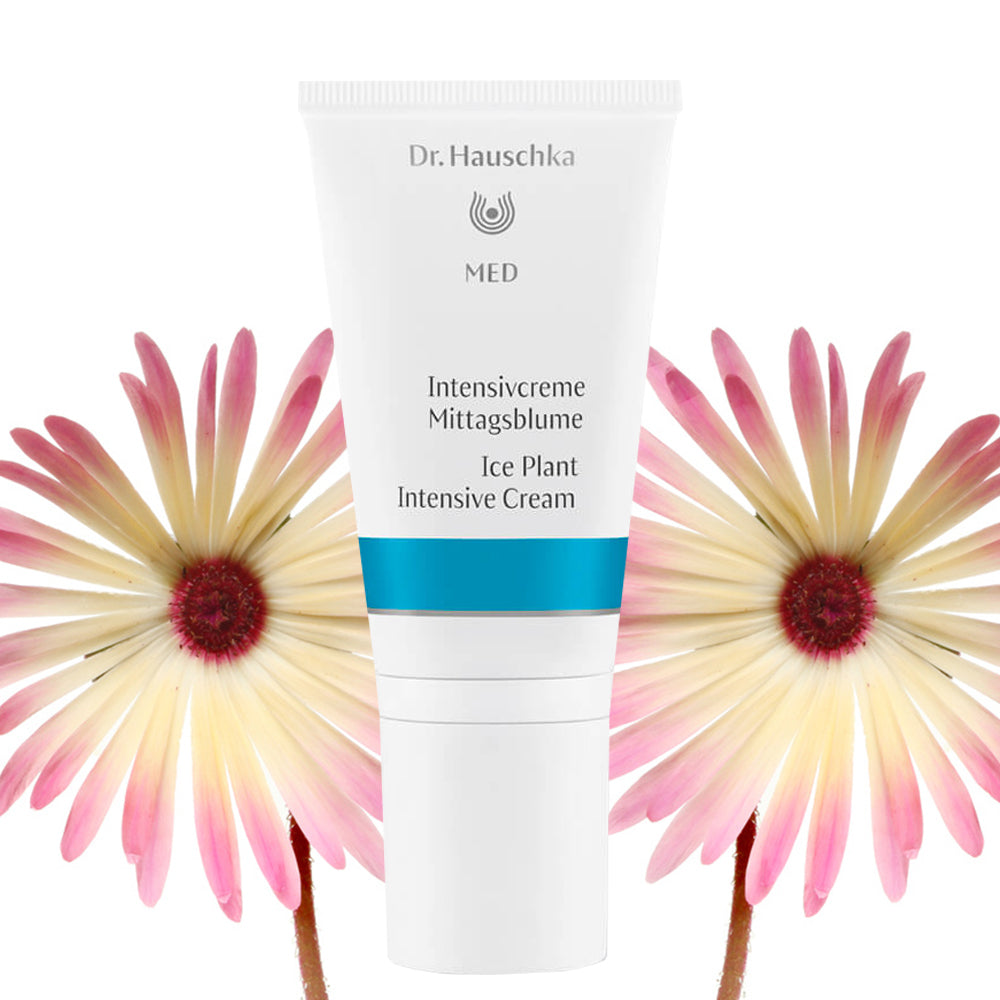 Dr Hauschka Intensive Ice Plant Cream 50ml (perfect for dermatitis) —  UOrganic